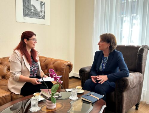 Cum se vede România în Europa - dialog cu Excelenţa Sa Adriana Stănescu, Ambasador al României în Germania